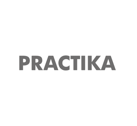 logo pracktica-ai